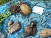 Vykopali jsme hřbitov odpadků